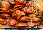 Mediterrane Ansichten, Kalender, Artevaria, Fotografie, Design, Hubertus Kahl