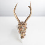 Artevaria, Rehgeweih, Zahnräder, Uhren, Wandkunst, Kunstdrucke, Leinwanddrucke, Poster, Fotografie, Malerei, Digital Art, Rahmen, Kunsthandwerk