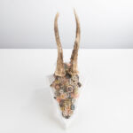 Artevaria, Rehgeweih, Zahnräder, Uhren, Wandkunst, Kunstdrucke, Leinwanddrucke, Poster, Fotografie, Malerei, Digital Art, Rahmen, Kunsthandwerk