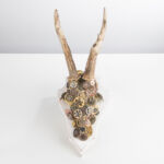 Artevaria, Rehgeweih, Zahnräder, Uhren, Wandkunst, Kunstdrucke, Leinwanddrucke, Poster, Fotografie, Malerei, Digital Art, Rahmen, Kunsthandwerk