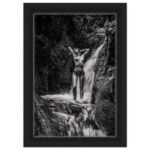 3ba47e4d-3c42-4d36-8cc2-da8f7d052957