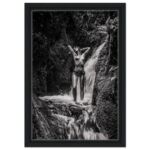 48fc2bbb-e705-4351-924c-33abff759206