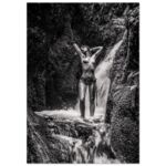 93a71d47-e69b-4487-a346-ff9e7c13c43f