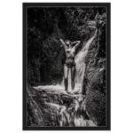 bc0d35e8-13ea-4892-8c6d-78acdff44e21