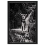 d893e0c2-1eea-4b2f-8009-708d48b3a27b