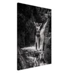 dc2d42a3-451a-4c22-be7b-4018d57d1374