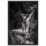 f5343958-a457-4c85-a9ba-21ba553870a4